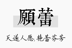 愿蕾名字的寓意及含义