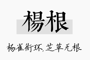 杨根名字的寓意及含义