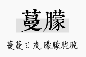 蔓朦名字的寓意及含义