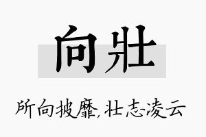 向壮名字的寓意及含义