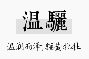 温骊名字的寓意及含义