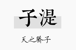 子湜名字的寓意及含义