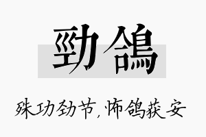 劲鸽名字的寓意及含义