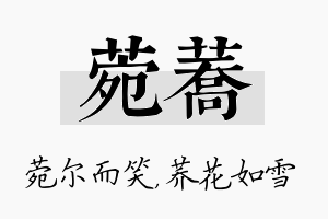 菀荞名字的寓意及含义