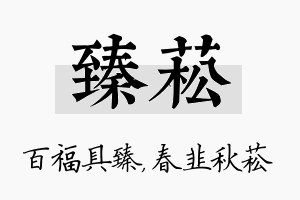 臻菘名字的寓意及含义