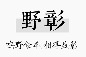 野彰名字的寓意及含义