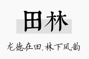 田林名字的寓意及含义