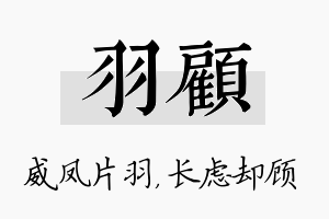 羽顾名字的寓意及含义