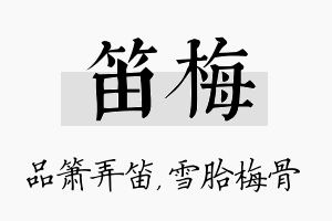 笛梅名字的寓意及含义