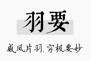 羽要名字的寓意及含义