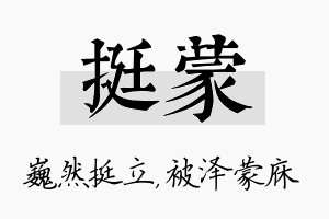 挺蒙名字的寓意及含义