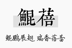 鲲蓓名字的寓意及含义