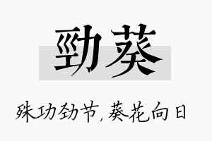 劲葵名字的寓意及含义