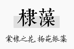 棣藻名字的寓意及含义