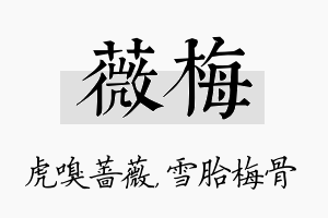 薇梅名字的寓意及含义