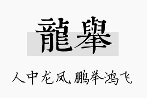 龙举名字的寓意及含义