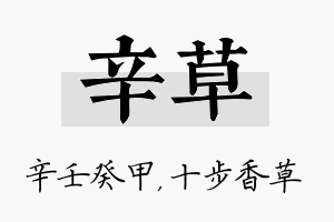 辛草名字的寓意及含义