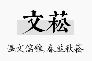 文菘名字的寓意及含义