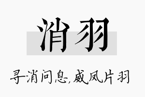 消羽名字的寓意及含义