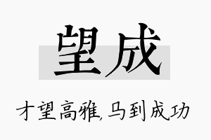 望成名字的寓意及含义