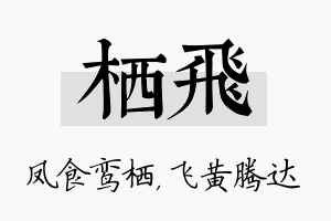 栖飞名字的寓意及含义