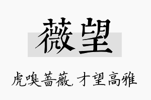 薇望名字的寓意及含义