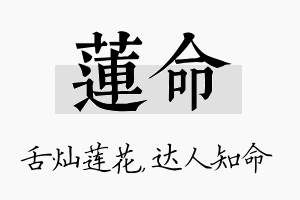 莲命名字的寓意及含义