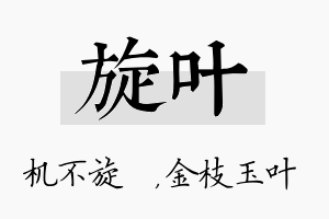 旋叶名字的寓意及含义