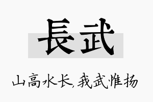 长武名字的寓意及含义