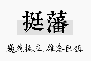 挺藩名字的寓意及含义