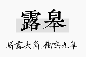 露皋名字的寓意及含义