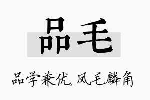 品毛名字的寓意及含义