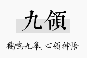 九领名字的寓意及含义