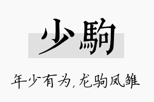 少驹名字的寓意及含义