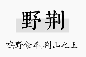 野荆名字的寓意及含义