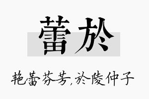 蕾於名字的寓意及含义