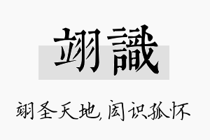 翊识名字的寓意及含义