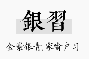 银习名字的寓意及含义