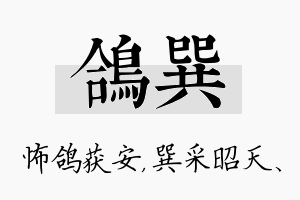 鸽巽名字的寓意及含义