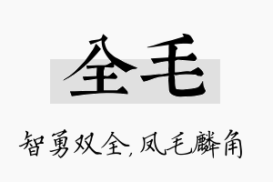 全毛名字的寓意及含义