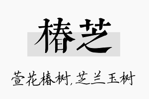 椿芝名字的寓意及含义