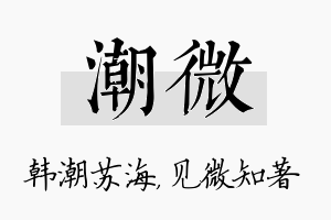 潮微名字的寓意及含义