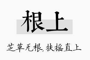 根上名字的寓意及含义