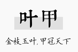 叶甲名字的寓意及含义