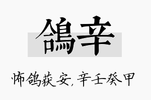 鸽辛名字的寓意及含义