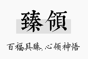 臻领名字的寓意及含义