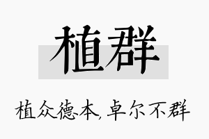 植群名字的寓意及含义