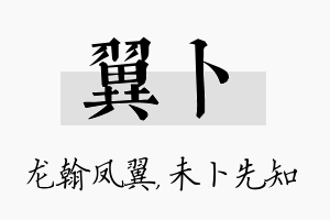 翼卜名字的寓意及含义