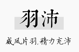 羽沛名字的寓意及含义