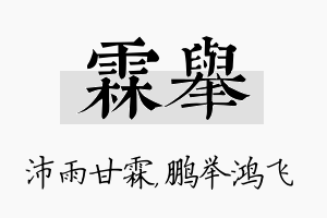 霖举名字的寓意及含义